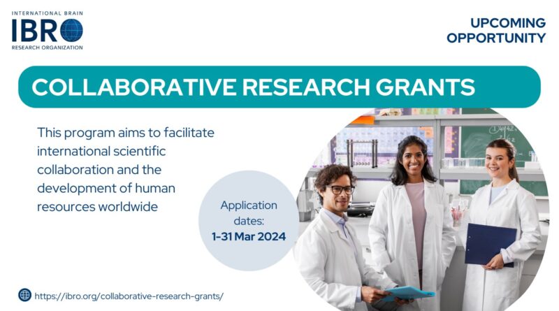 IBRO Collaborative Research Grants